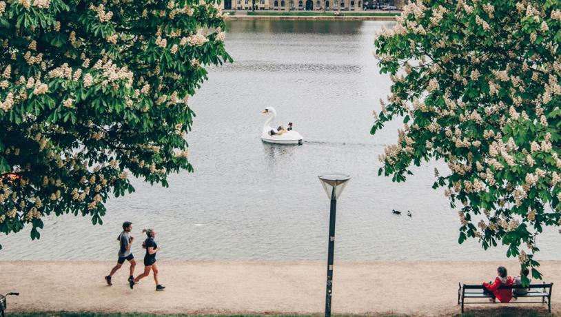 Swan boat on the lakes in Copenhagen