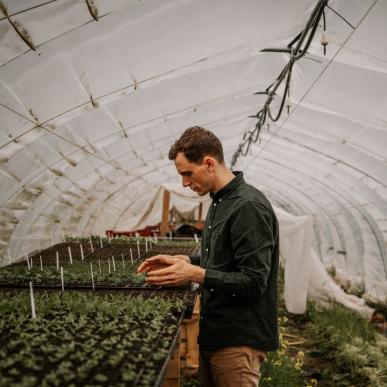 Brace Greenhouse